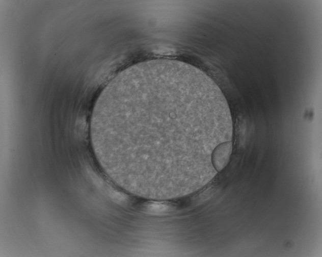 X0000111840614200909031705