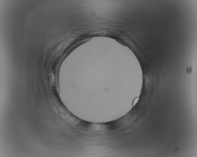 X0000111840617200909031705