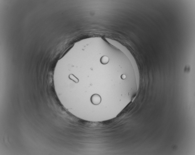 X0000111840621200909031705