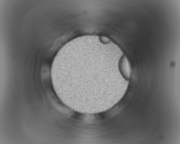 X0000111840623200909031705