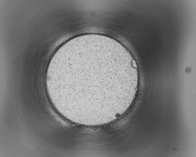 X0000111840625200909031704