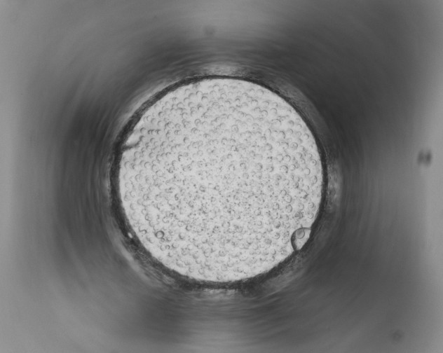 X0000111840626200909031704