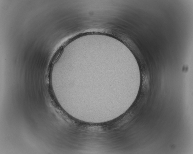 X0000111840628200909031705