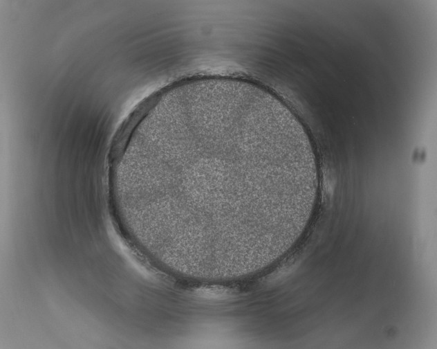 X0000111840630200909031705