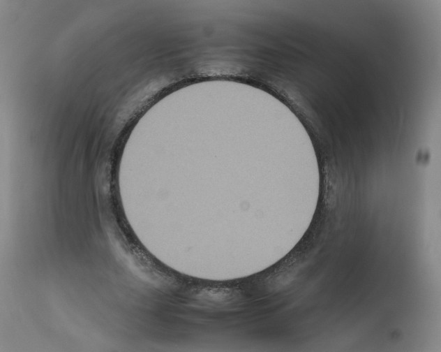 X0000111840631200909031705