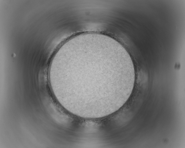 X0000111840632200909031705