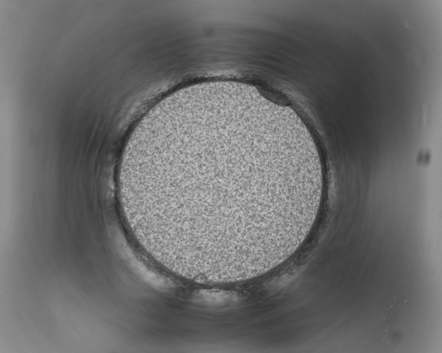 X0000111840633200909031705