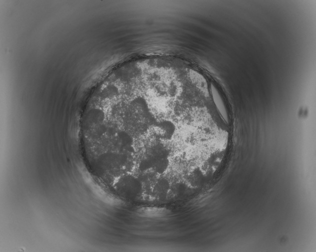 X0000111840637200909031705