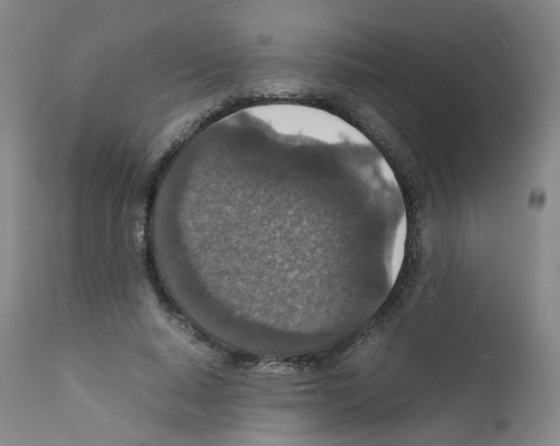 X0000111840640200909031705