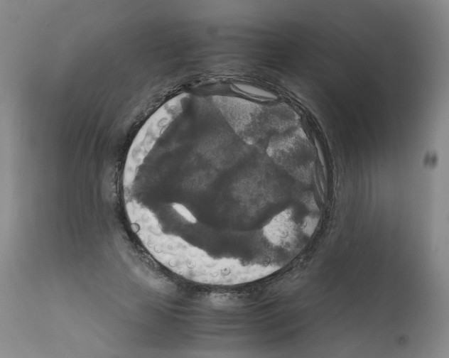 X0000111840641200909031705