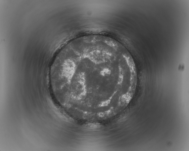 X0000111840642200909031705