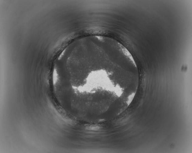 X0000111840643200909031705