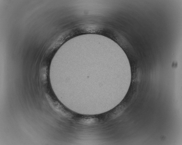 X0000111840646200909031705