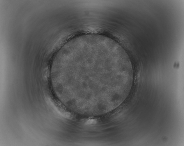 X0000111840647200909031705