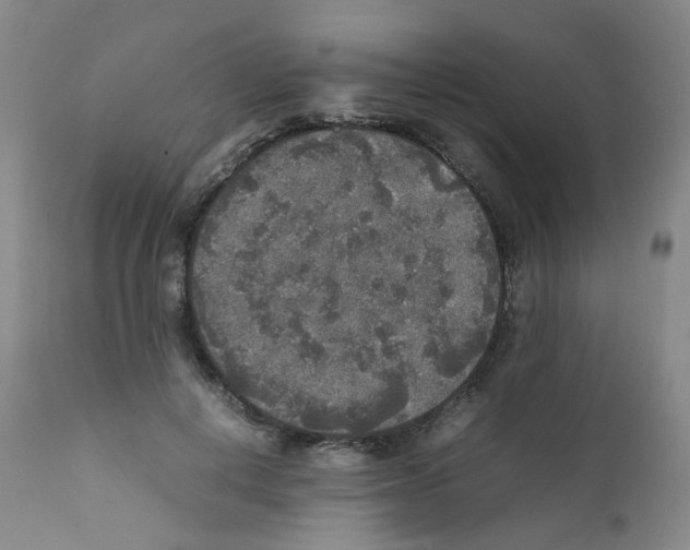 X0000111840648200909031705