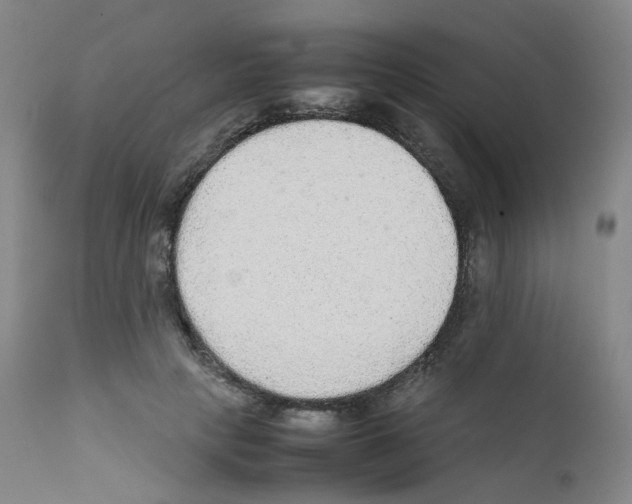 X0000111840649200909031705