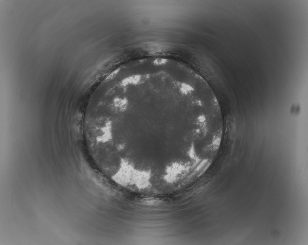 X0000111840650200909031705