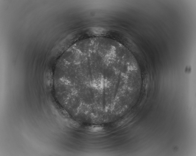 X0000111840651200909031705