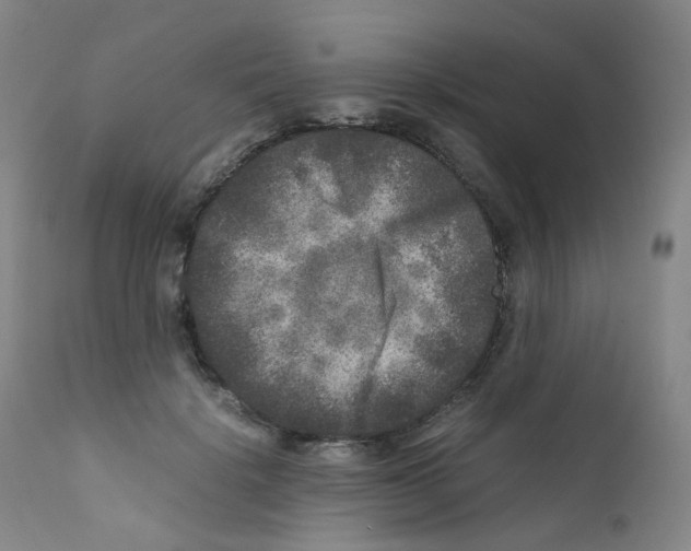 X0000111840652200909031705