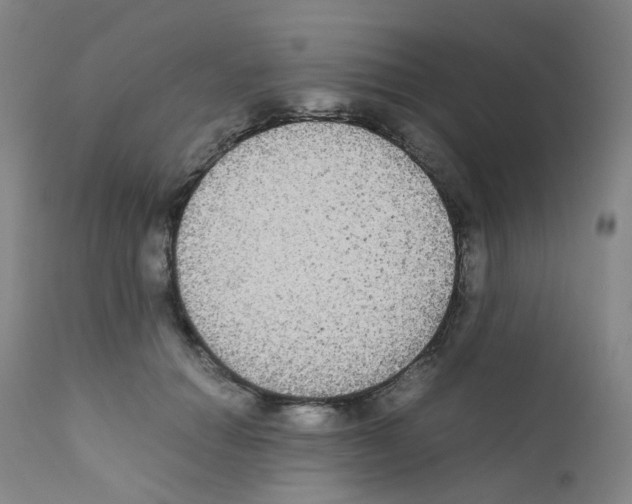 X0000111840654200909031705