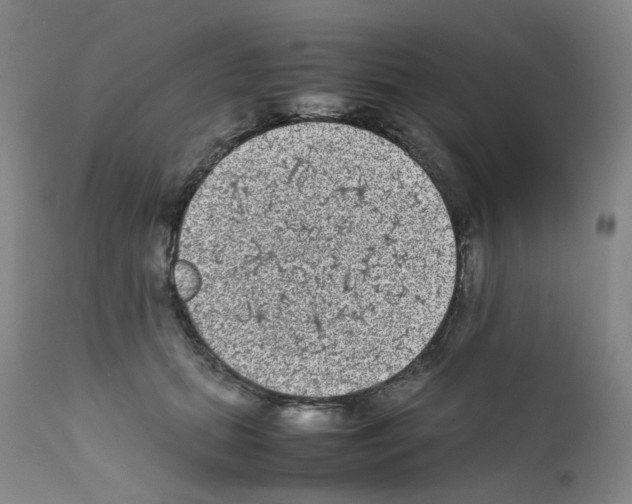 X0000111840655200909031705