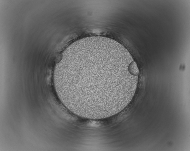 X0000111840656200909031705