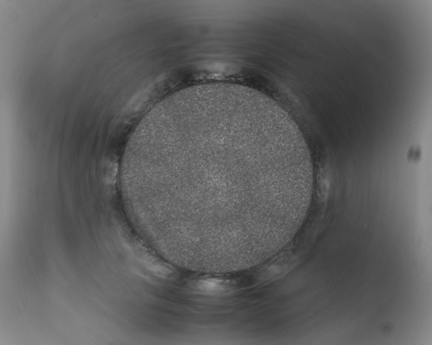 X0000111840657200909031705