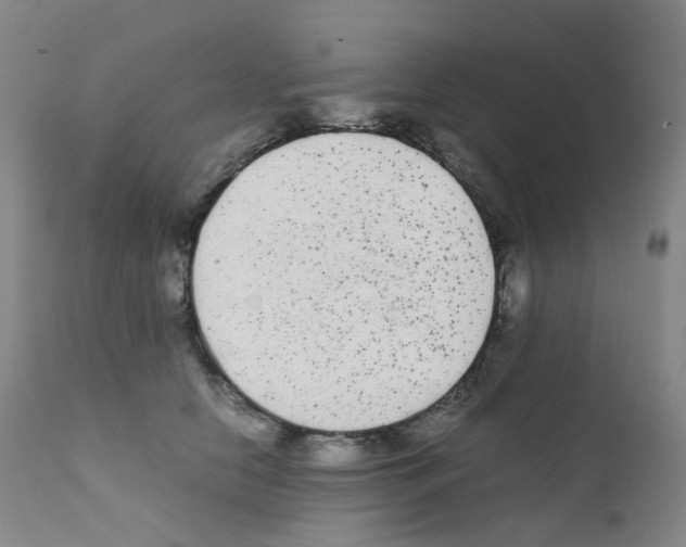 X0000111840658200909031705