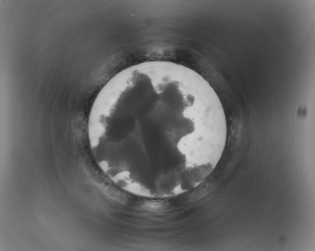 X0000111840659200909031705