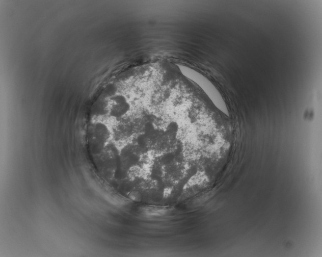 X0000111840661200909031705