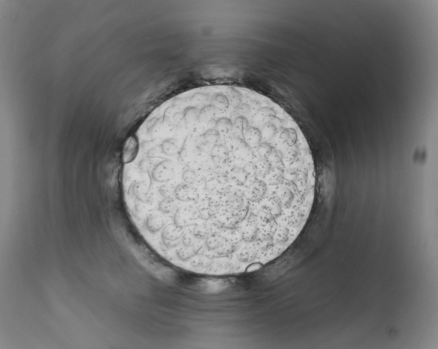 X0000111840662200909031705