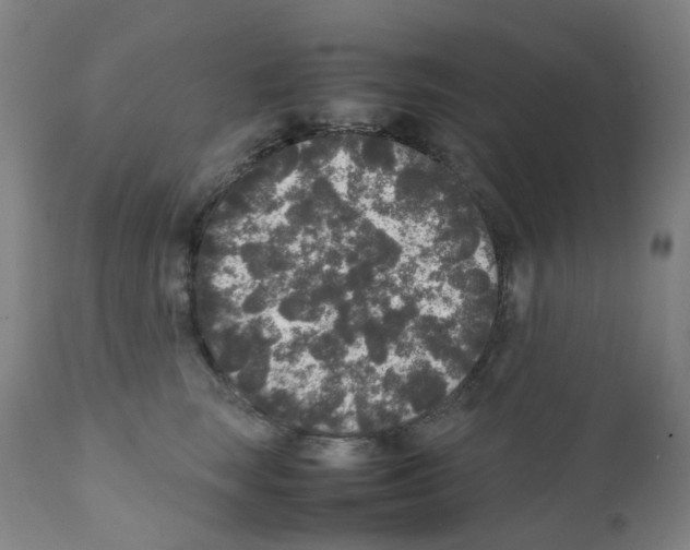 X0000111840663200909031705