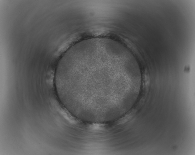 X0000111840664200909031705