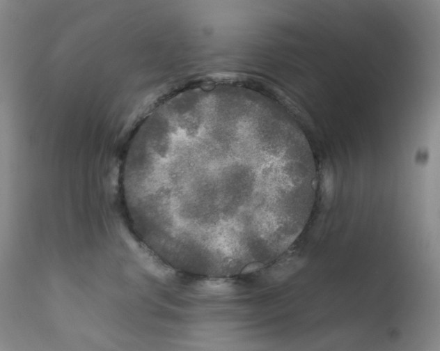 X0000111840668200909031705