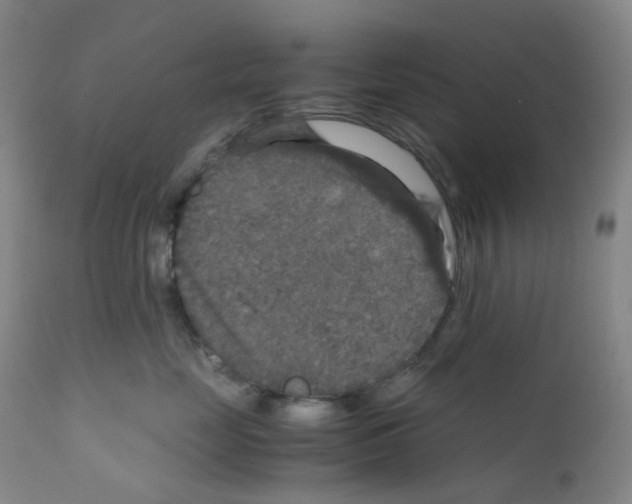 X0000111840669200909031705