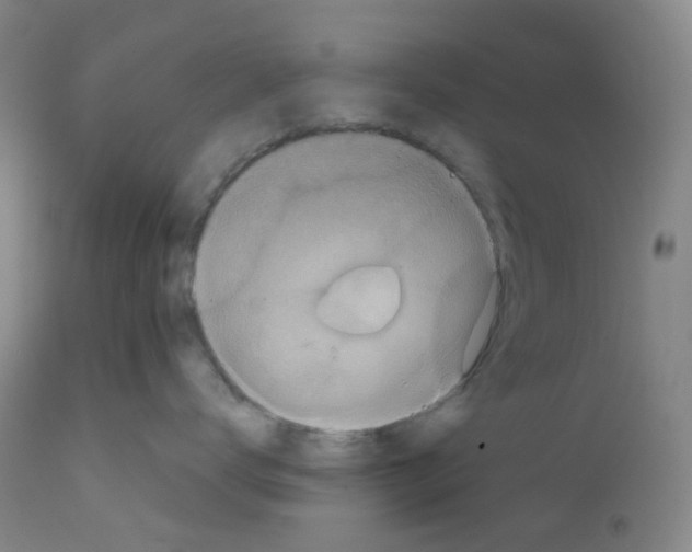 X0000111840672200909031705