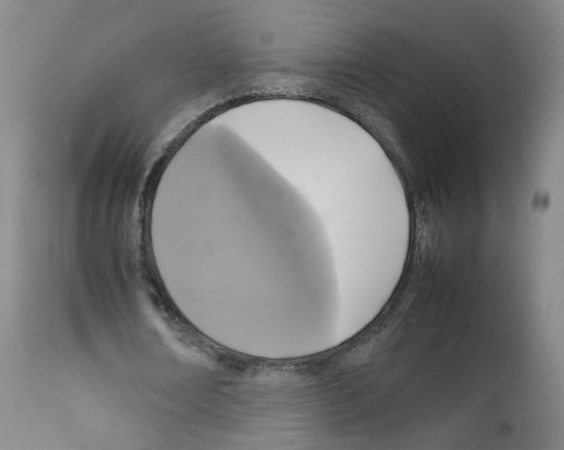 X0000111840674200909031704