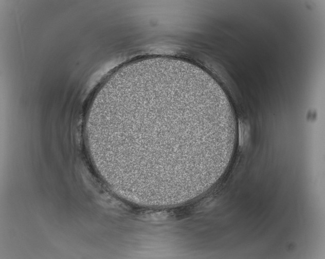 X0000111840675200909031704