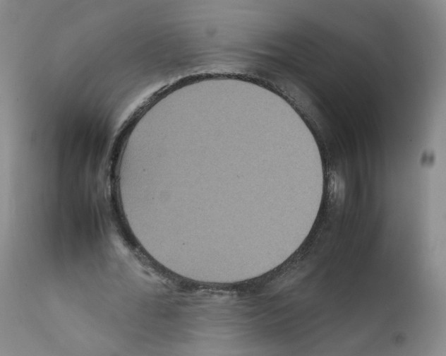 X0000111840676200909031704