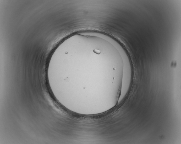 X0000111840677200909031704