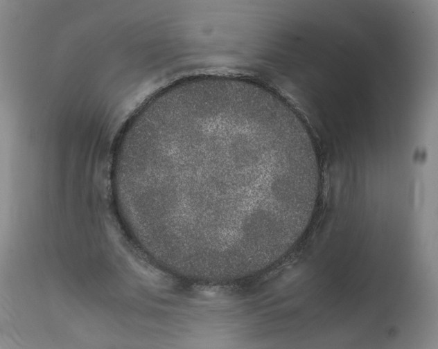 X0000111840679200909031704