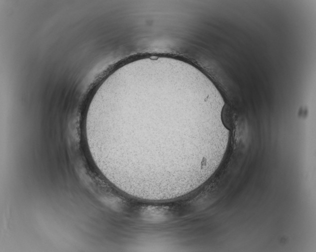 X0000111840680200909031704