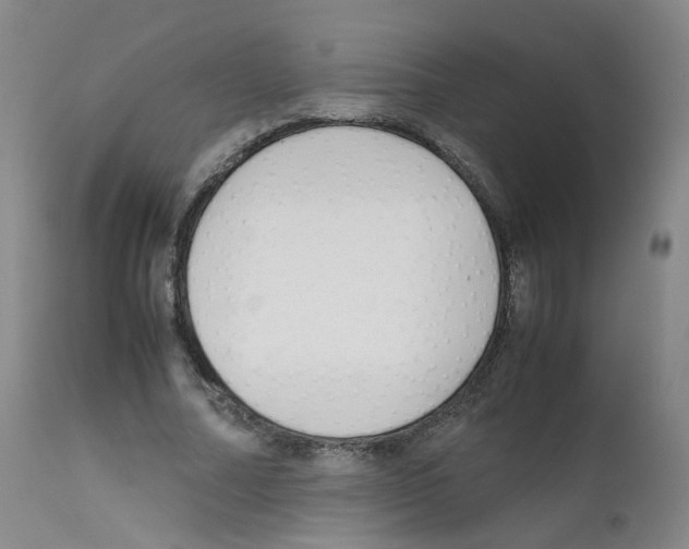 X0000111840682200909031704