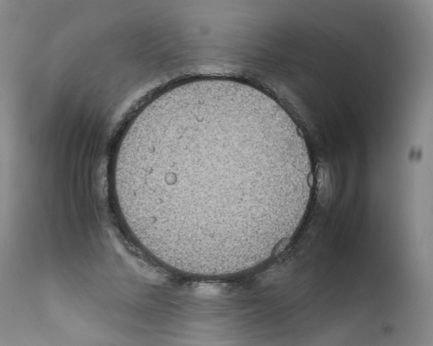 X0000111840684200909031704