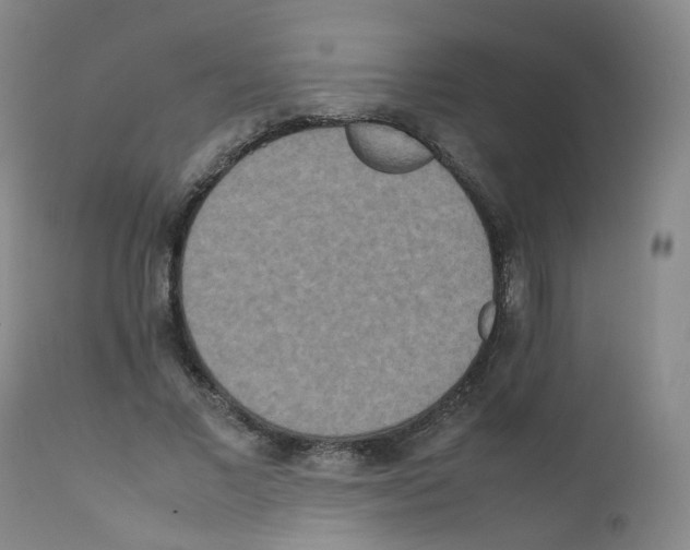 X0000111840685200909031704