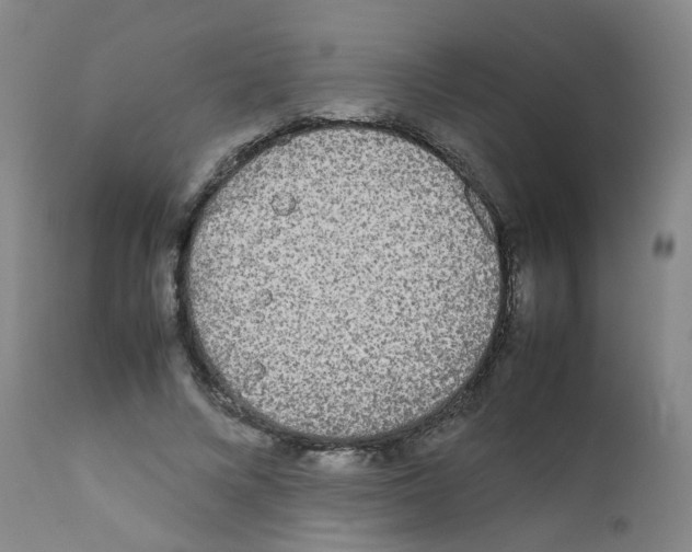 X0000111840688200909031704