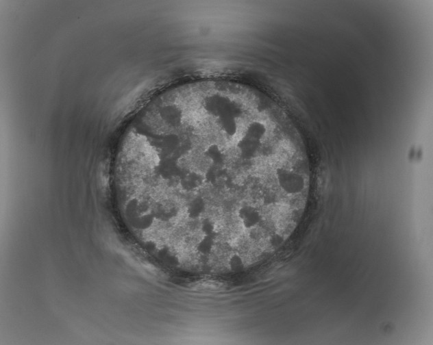 X0000111840691200909031704