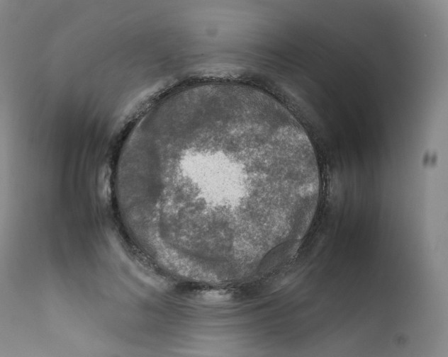 X0000111840692200909031704