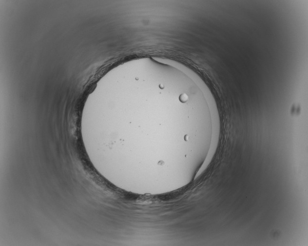 X0000111840693200909031704