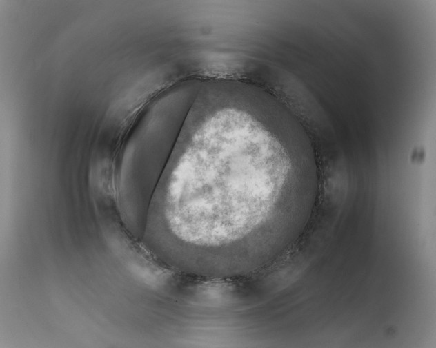 X0000111840696200909031704